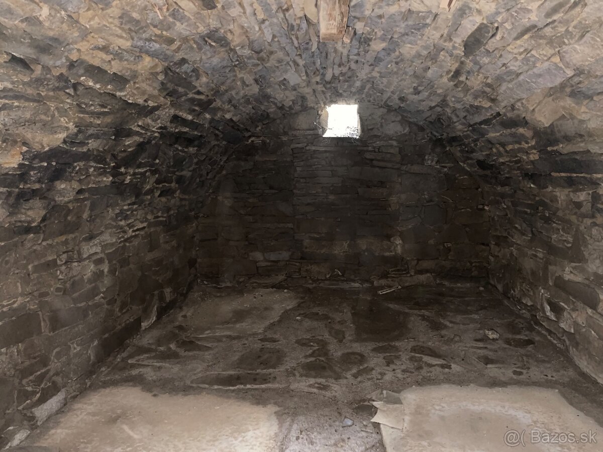 Drevenica s pozemkom - 8