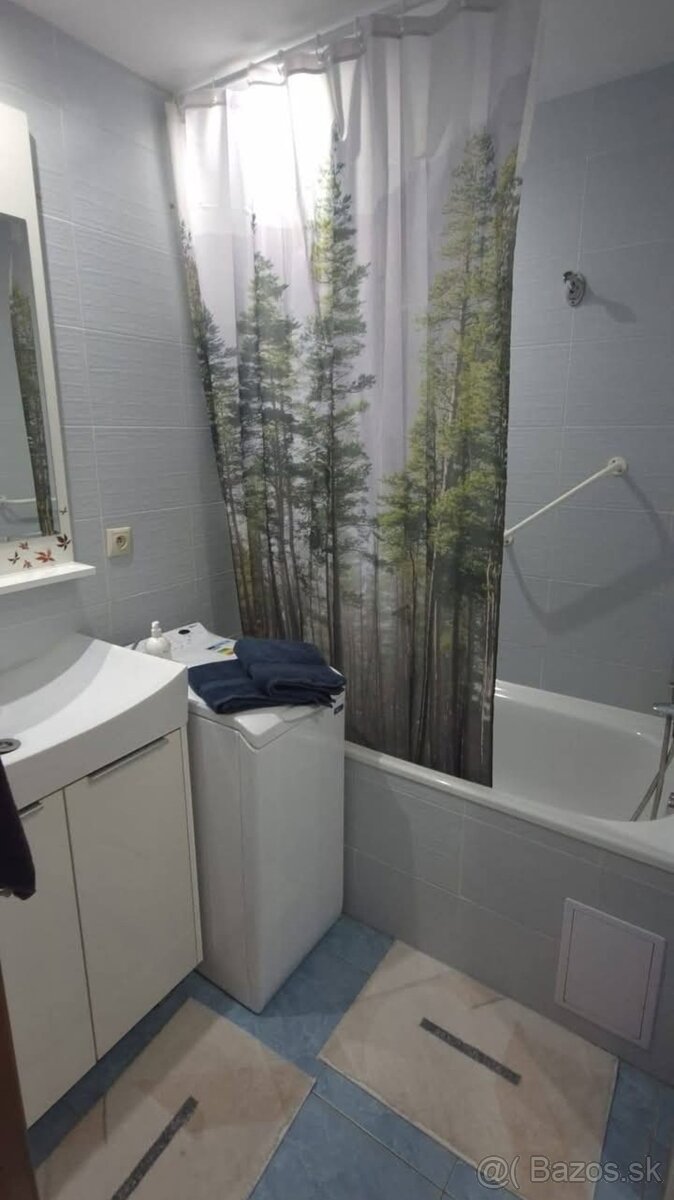 DLHODOBÝ PRENÁJOM / GARSÓNKA / SENICA / - 8