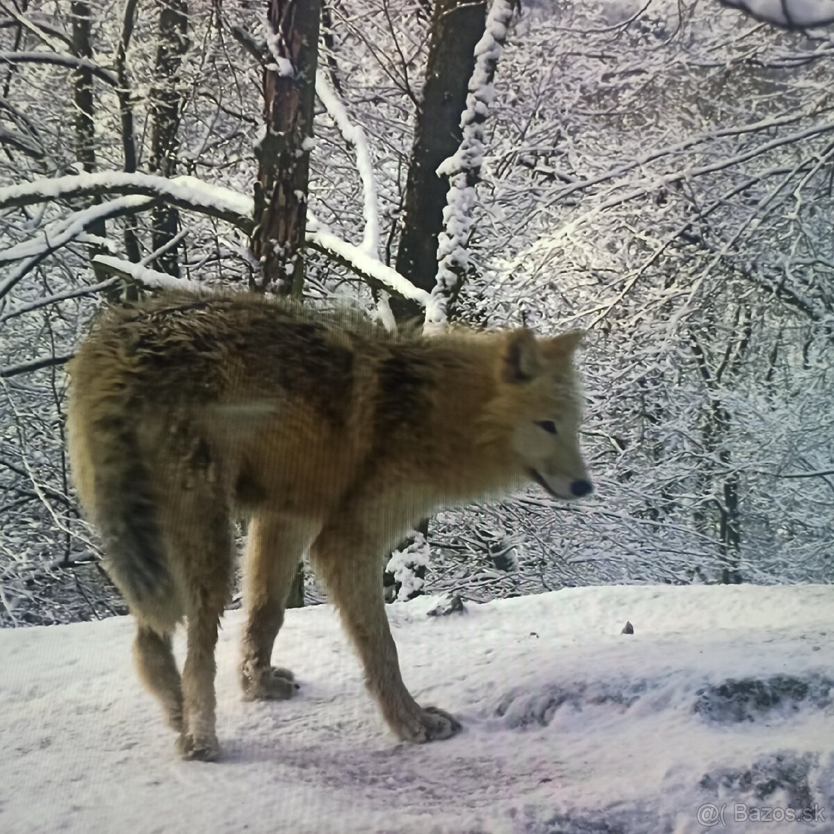 Hisense smart led tv50(125) - 8