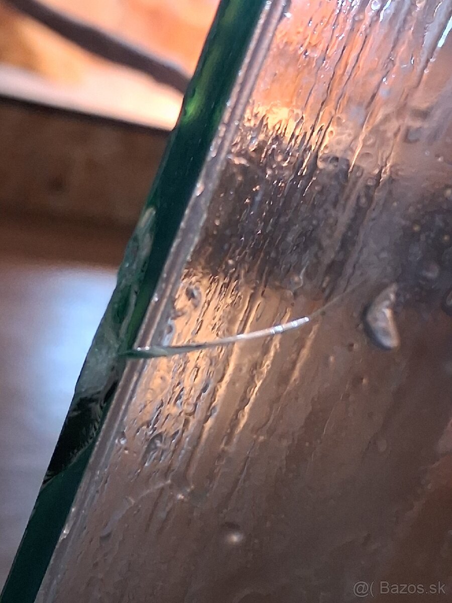 Pagekony riasnaté - 8