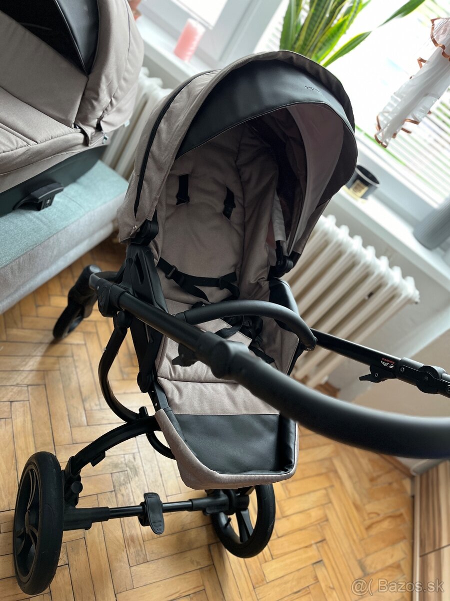 Kočik Bebetto Holland - 8