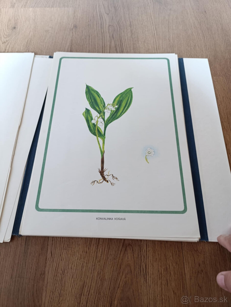 Staré školské pomôcky - 8