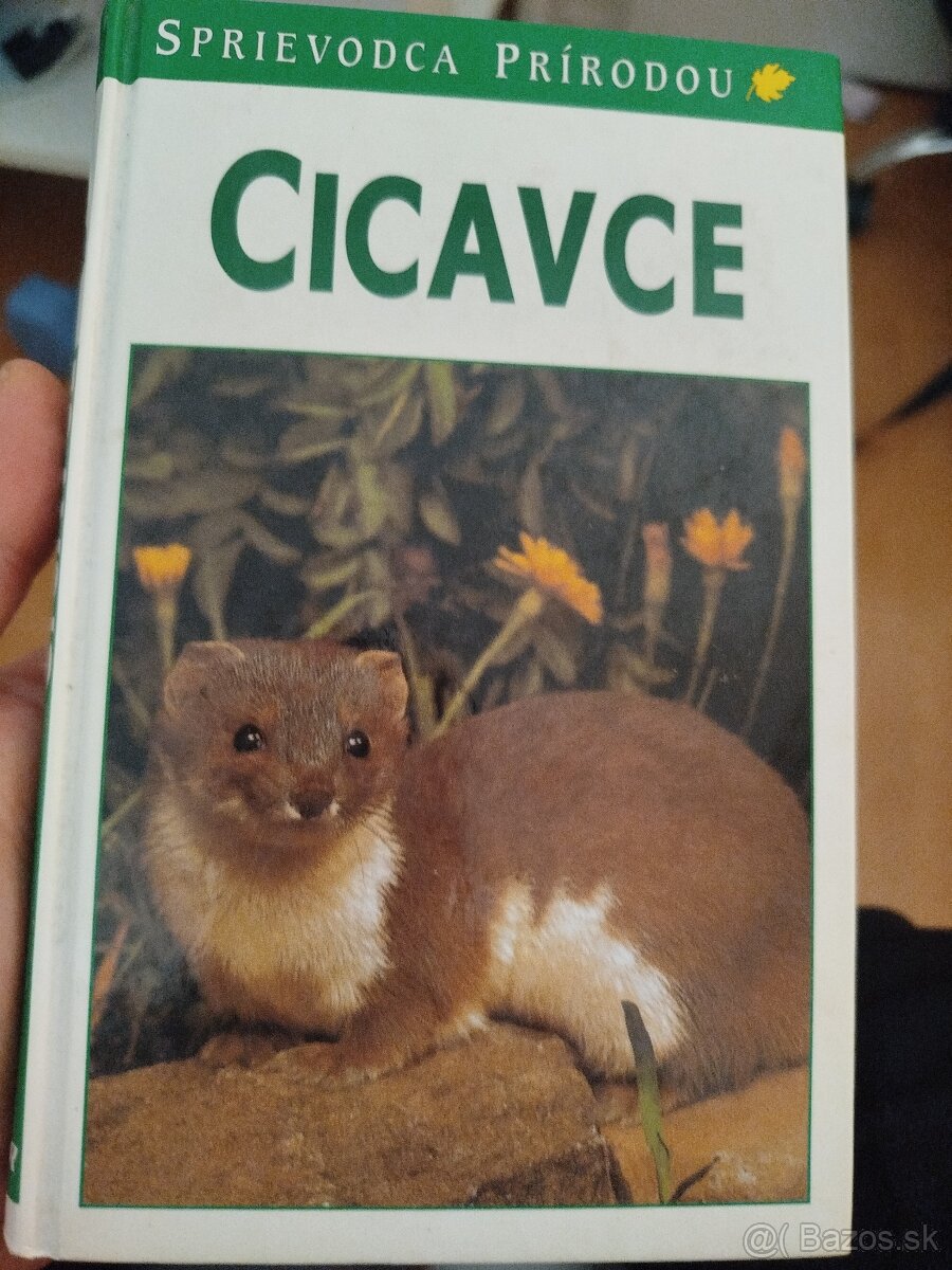 Ďalší sortiment - 8