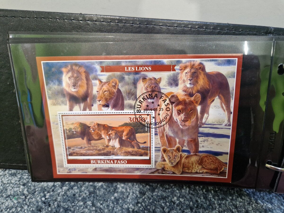 Zberatelsky album s Arsikmi - 8