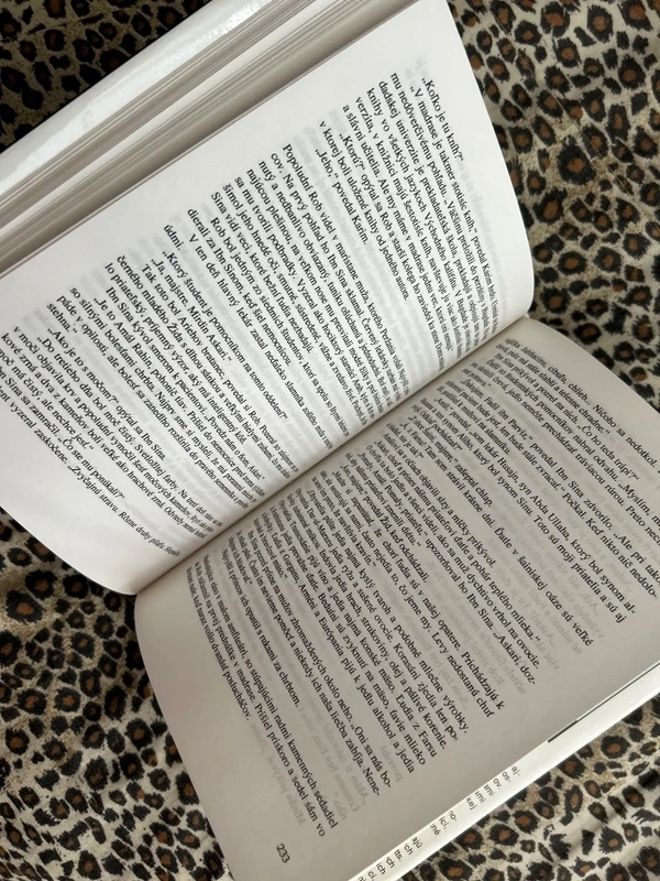 Liečiteľ - Noah Gordon - 8