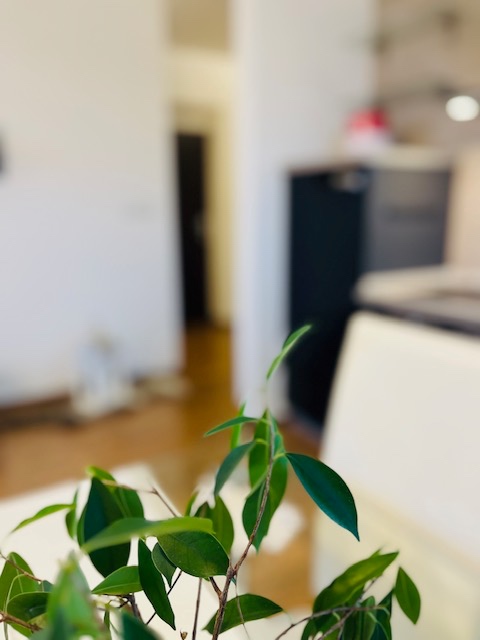 2-izb.byt, 2 parkovacie miesta, internet, energie v cene - 8