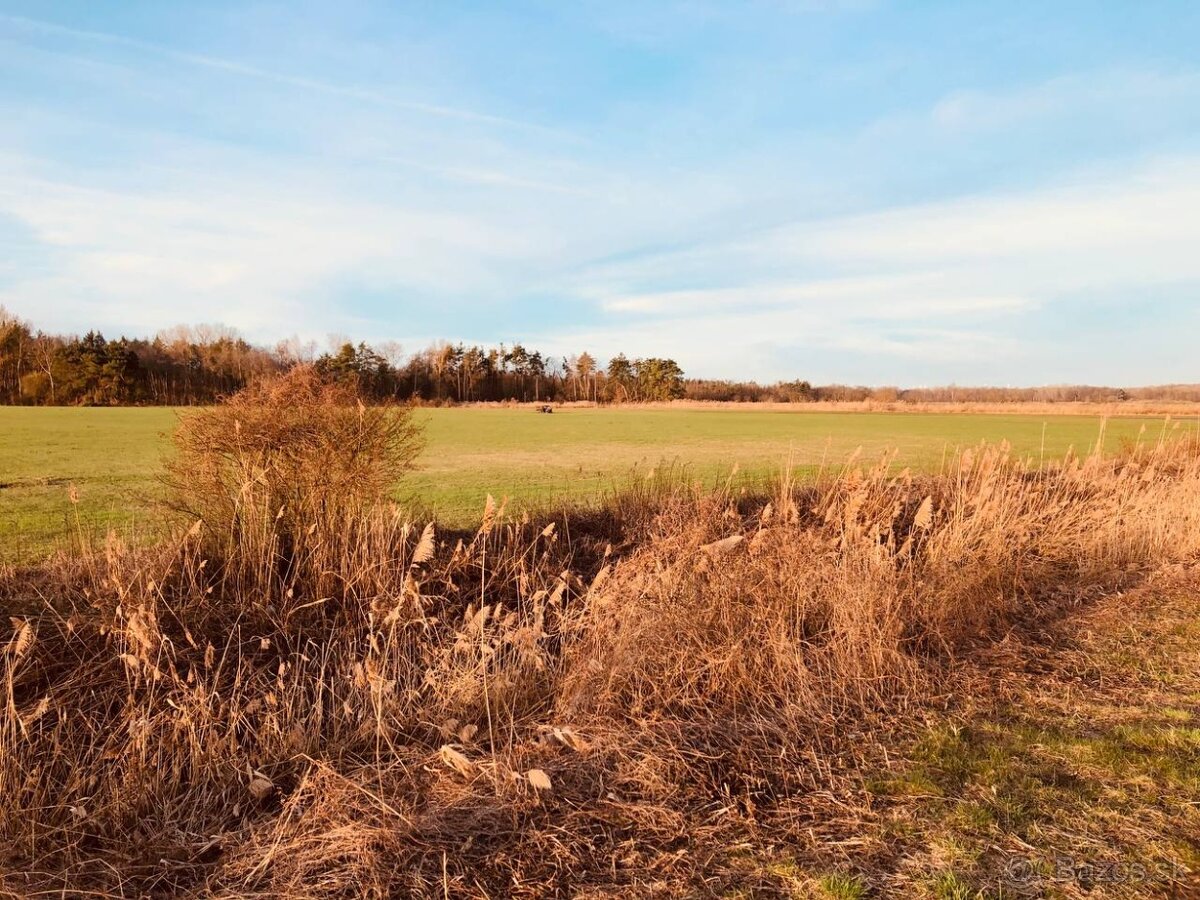 Veľký Pozemok 45 172 m² pri Malých Levároch - 8