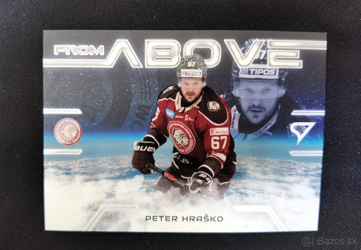 Hokej SHL / Tipsport Extraliga - 8