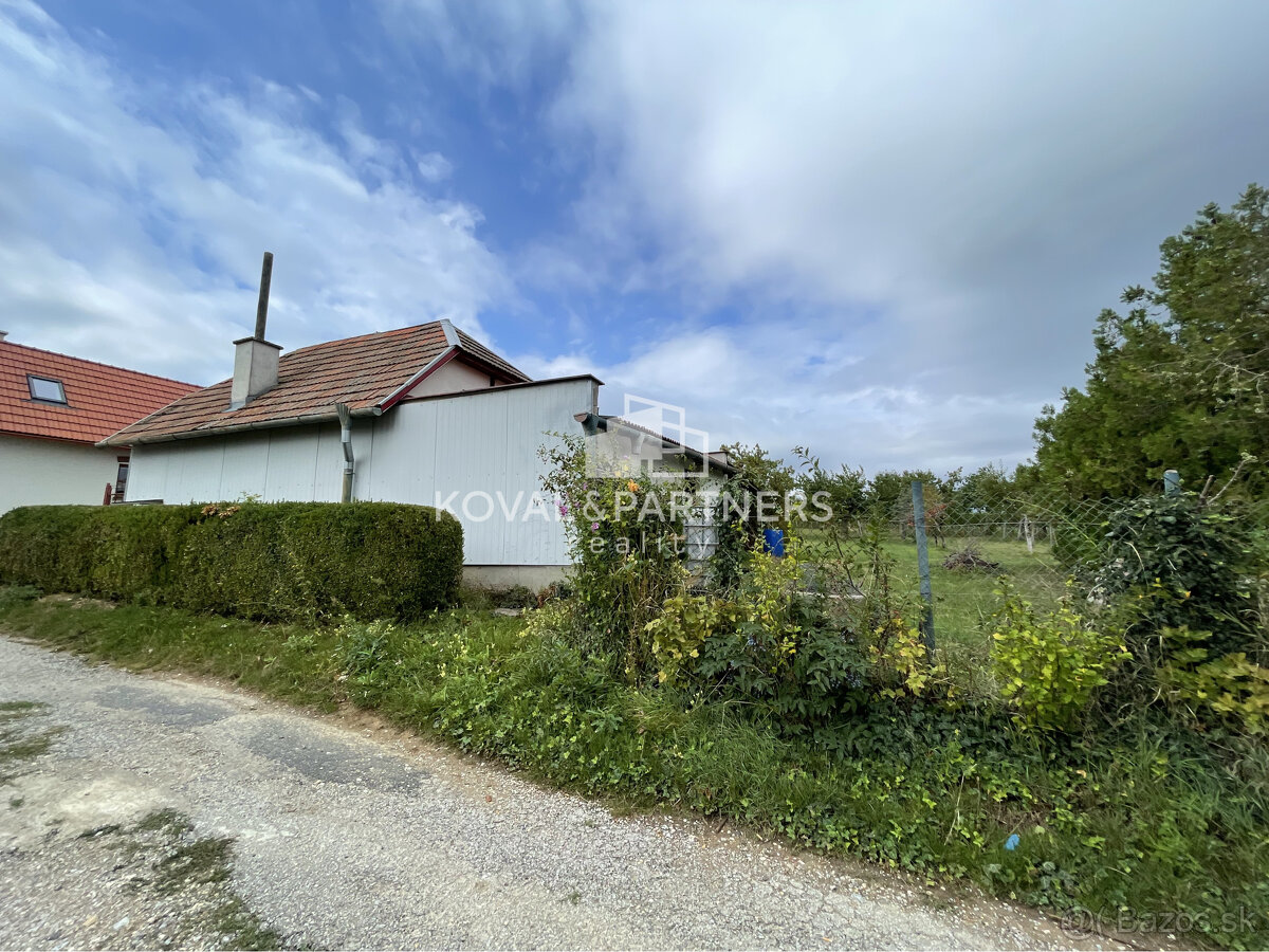 Chatka so záhradou a vinicou - Vráble v časti Horný Dúšnik - 8