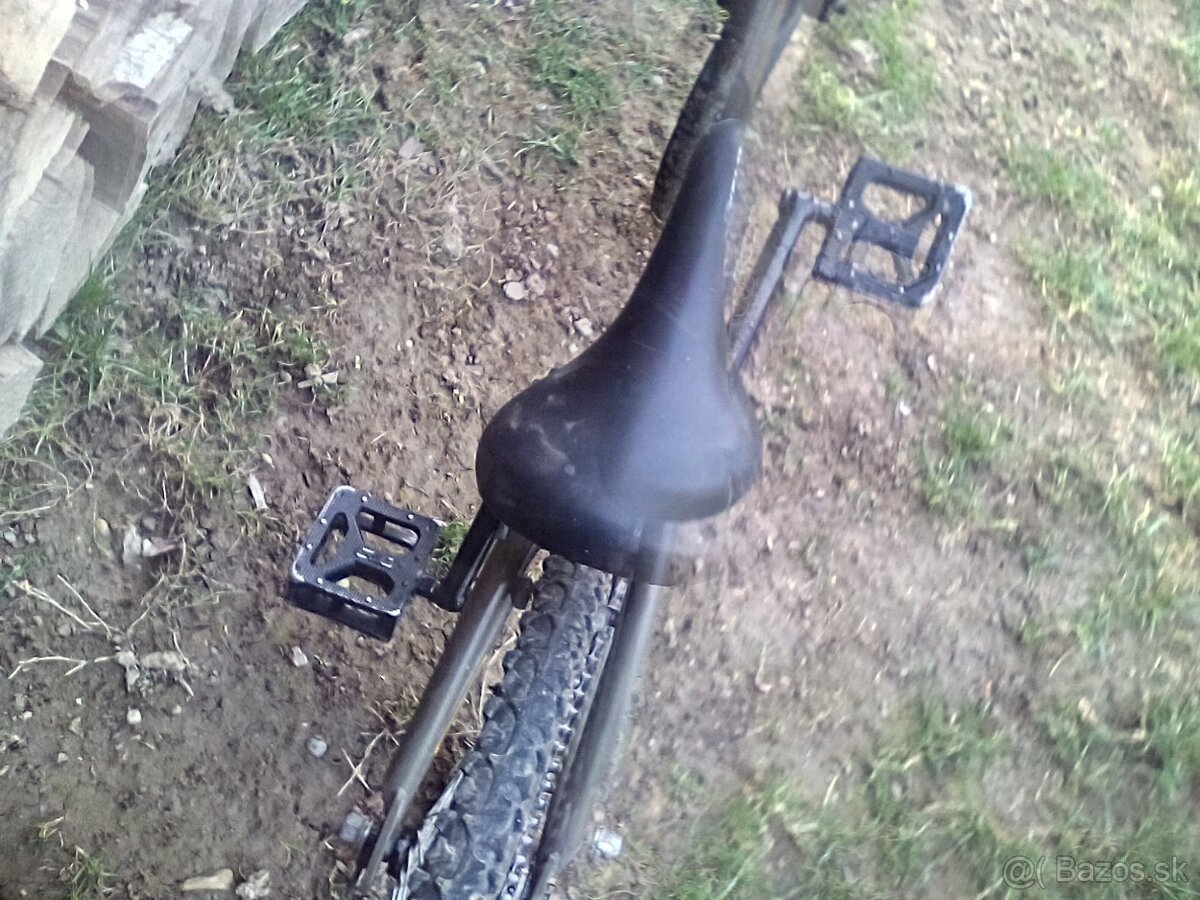 Bestwick PRO - 8