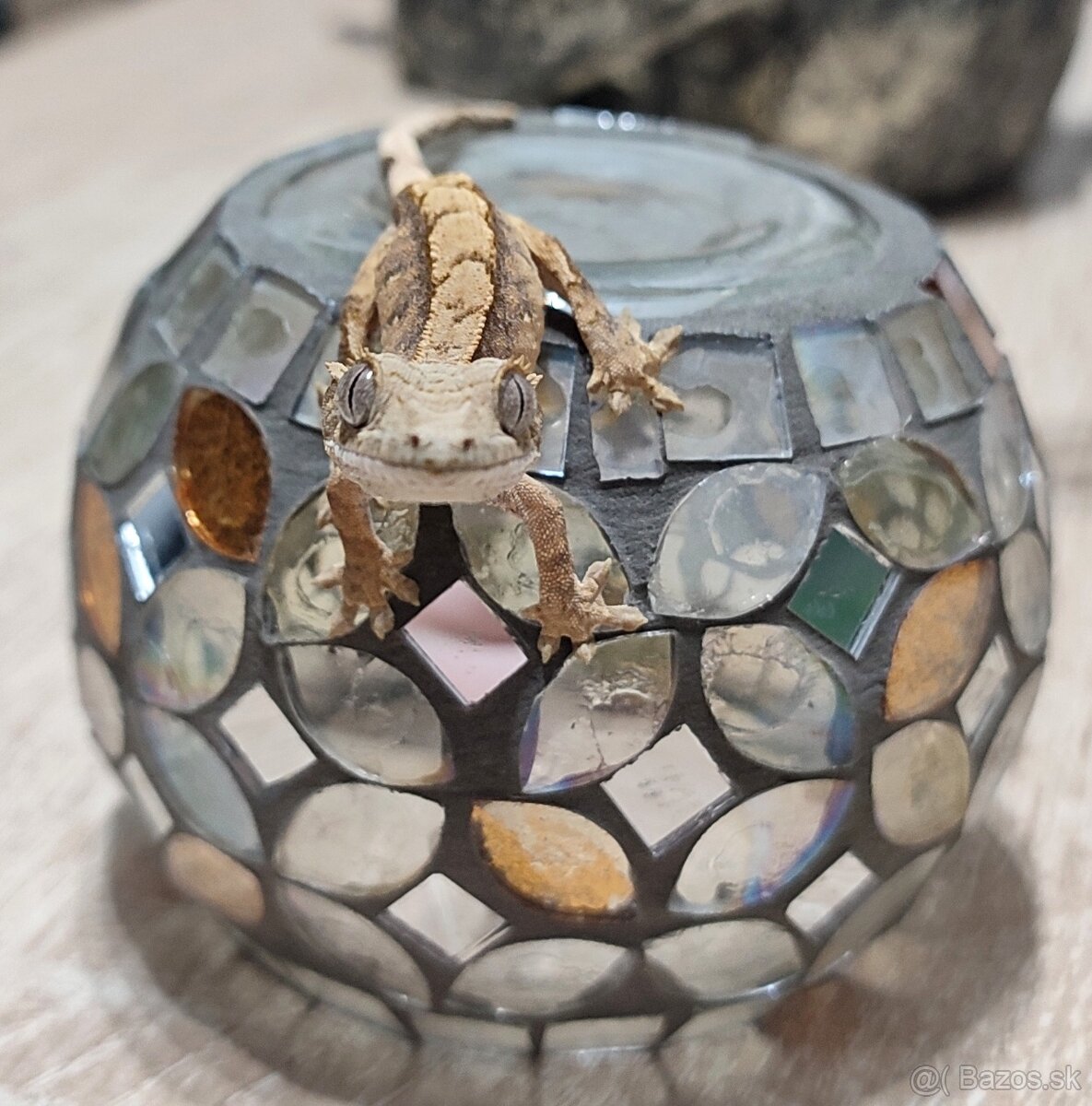 Pagekon Riasnaty - 8