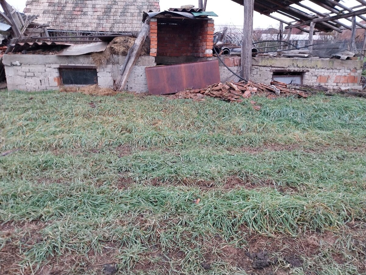 Predaj pozemku so starým domom-Čechynce - 8
