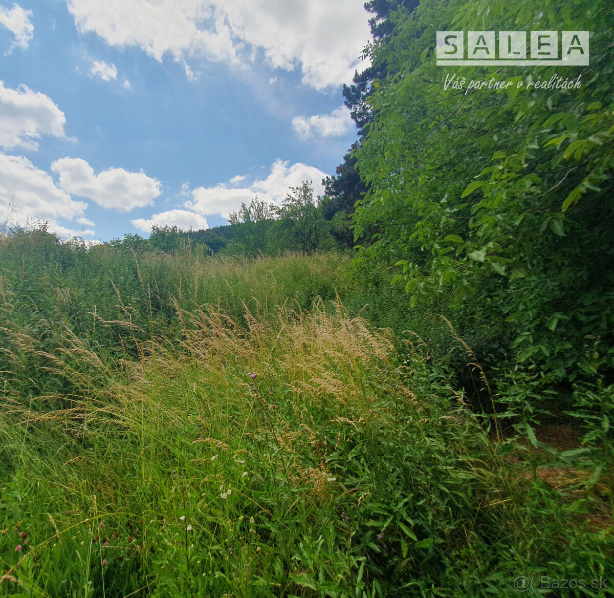 Exkluzívne Predaj Rodinný dom 912m2 Hrádok pri Piešťanoch - 8