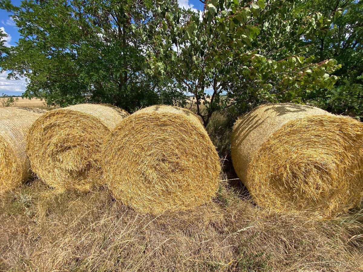 Slama na predaj - 8