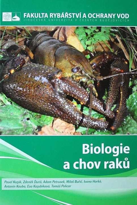 Mačky, psy, zvieratá, chov - 8