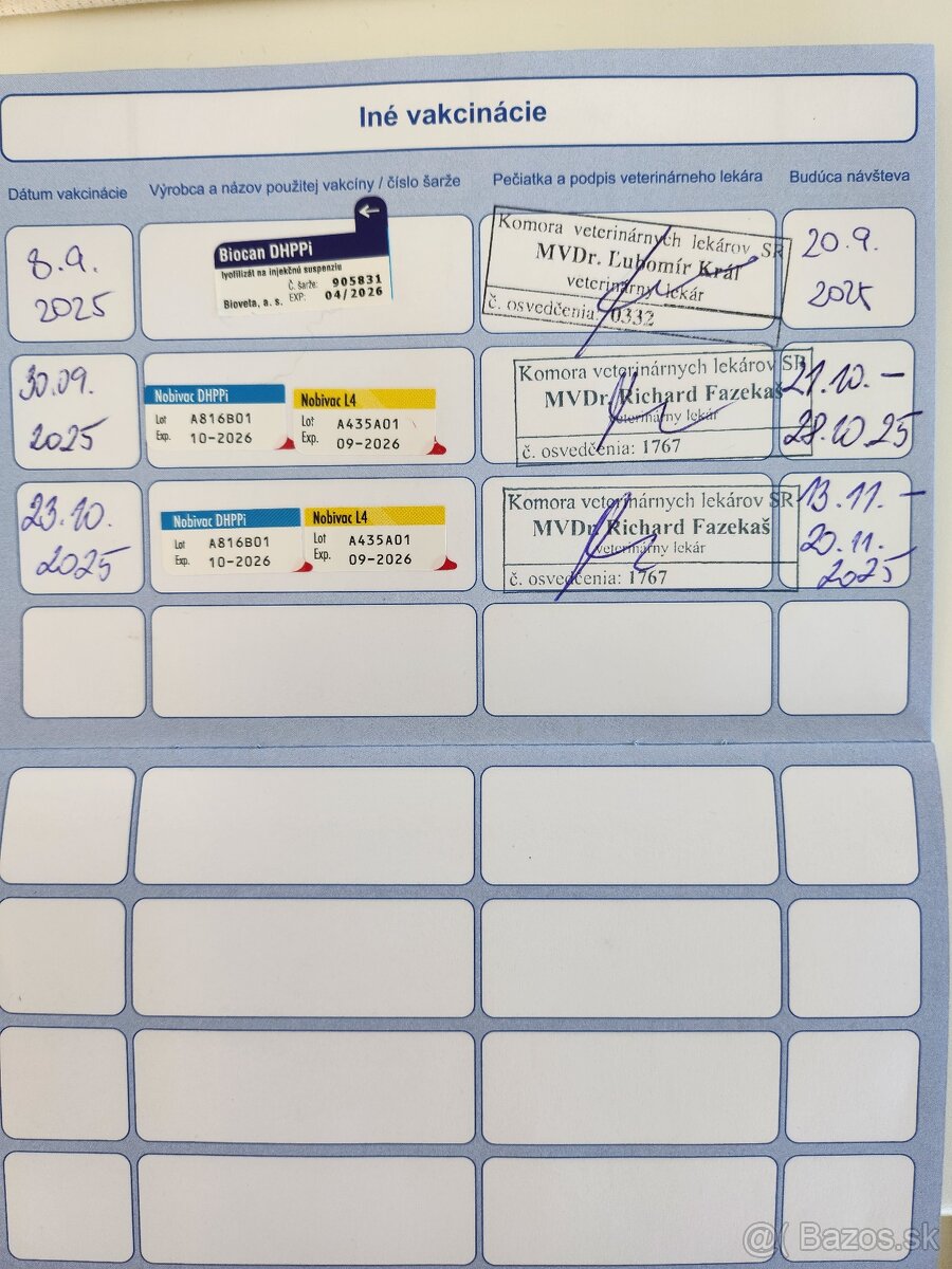 Nemecký Ovčiak - 8