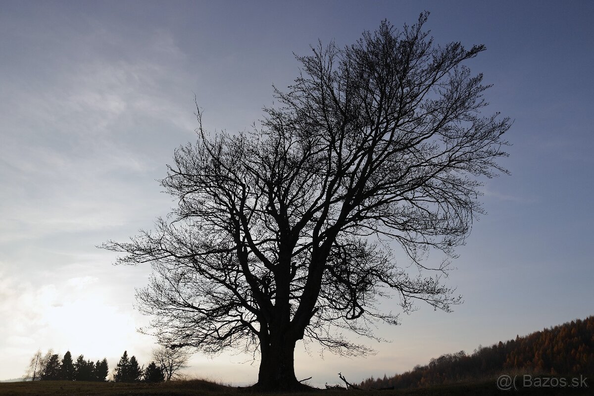 Canon EF 28mm f/1.8 USM - 8