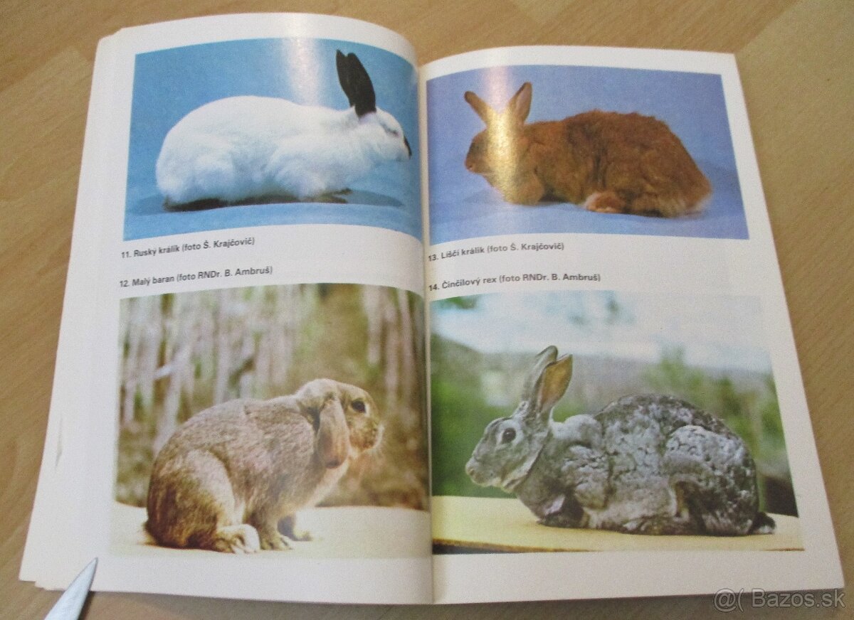 Chováme králiky - 4 - 8