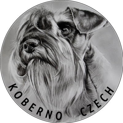 Bradáč malý korenie a sol - 8