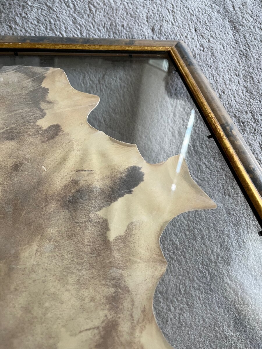 Obraz 83x57 latinský citát - 8