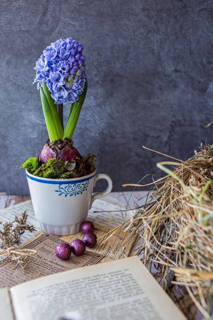 Kávová súprava Epiag - 8