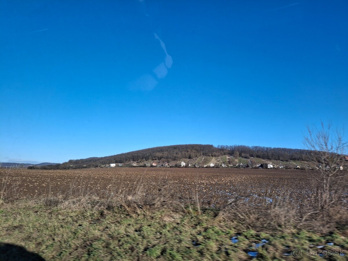 Vinohrad v Tokajskej oblasti - 8