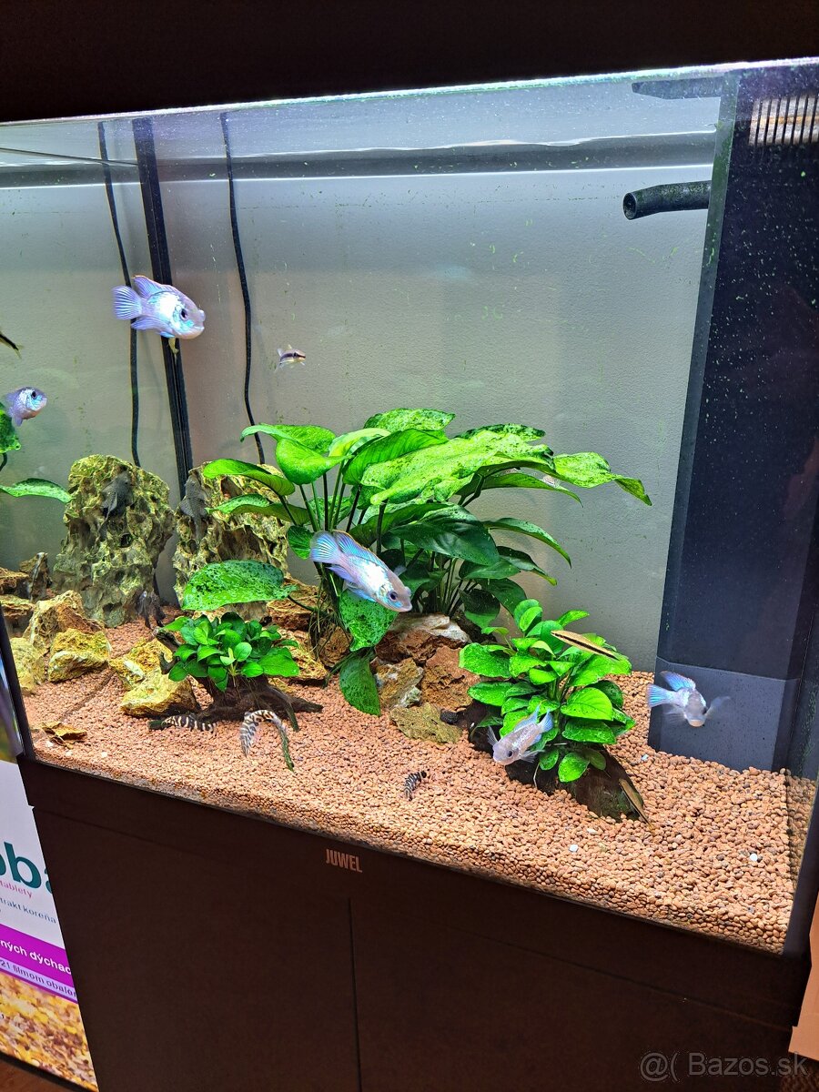 Akvárium juvel 125 - 8