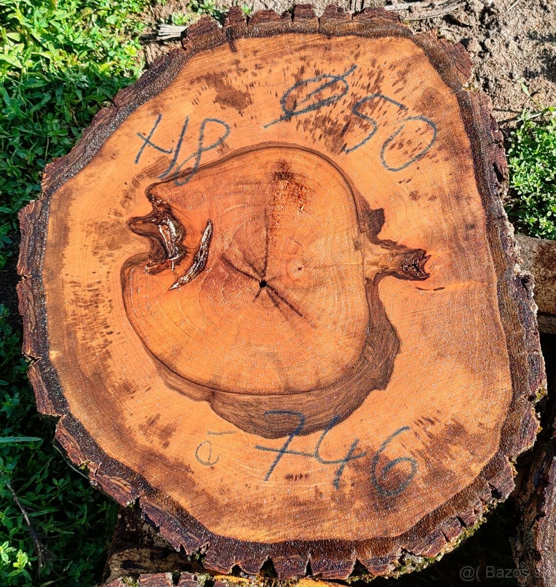 drevene koláče, priečne rezy - 8