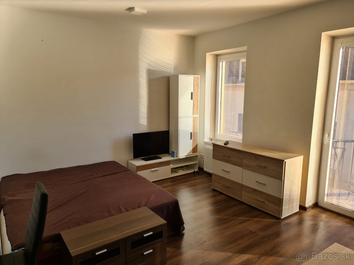 1 izb byt prenajom - 8
