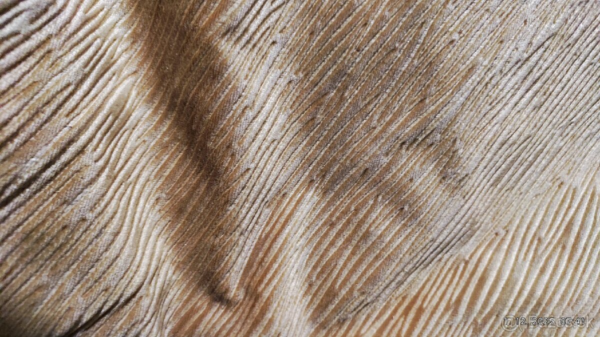 Predám poťahové látky a záclony - 8