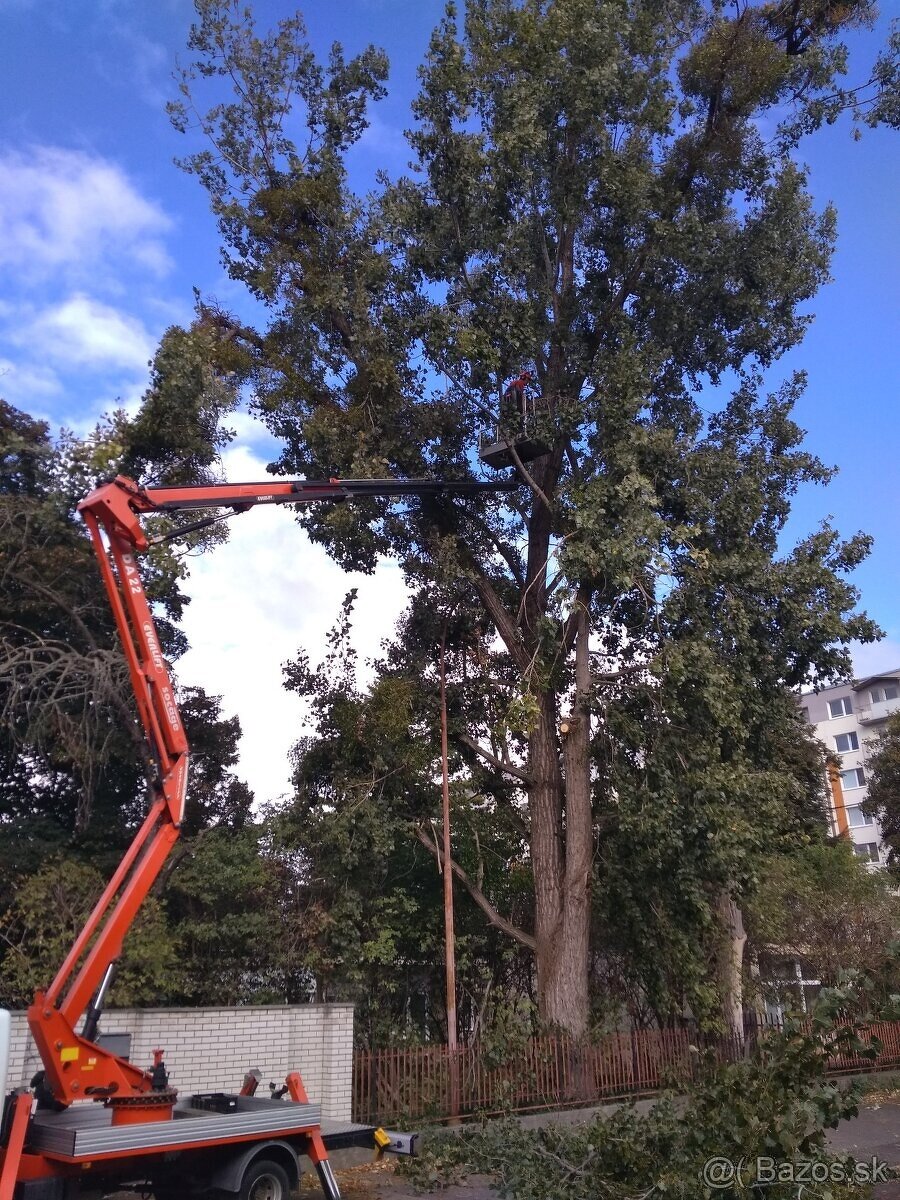 Rez a výrub stromov, arboristika - 8