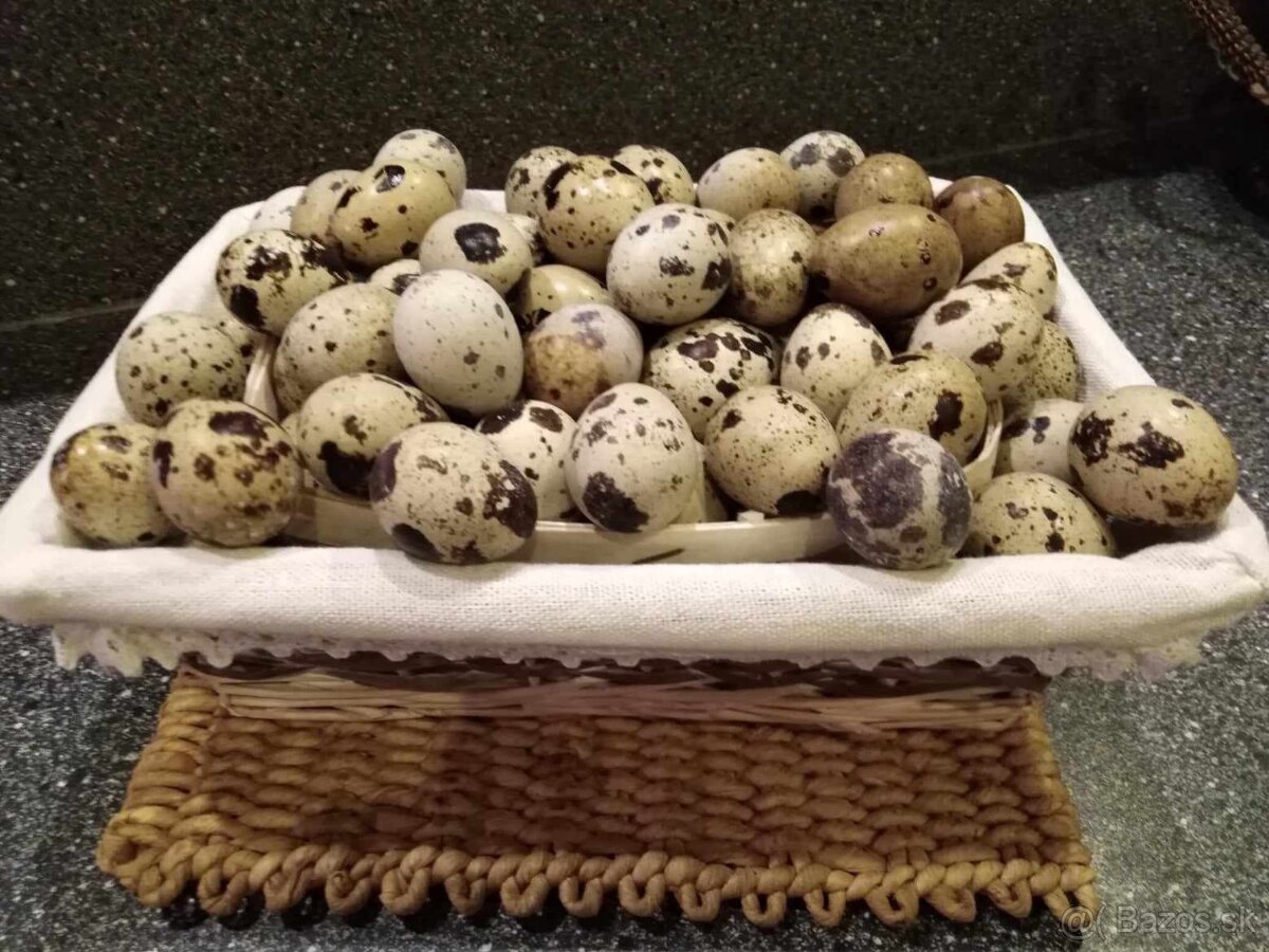 Násadové vajíčka - 8