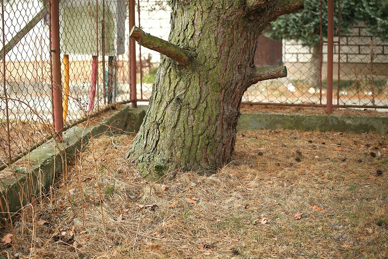 Canon 70-150mm / F4,5 / M42 / FD (adaptér pre EOS EF) - 8