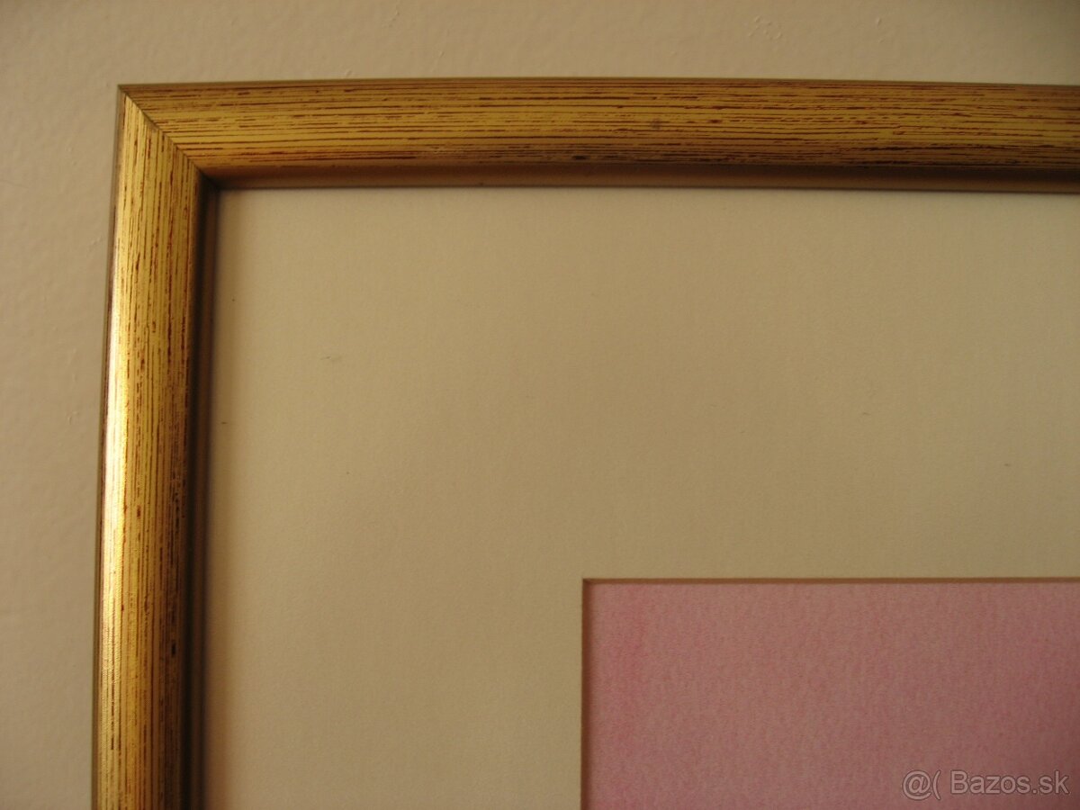 Ľudmila Korž-Raďko: Moja záhrada - 8