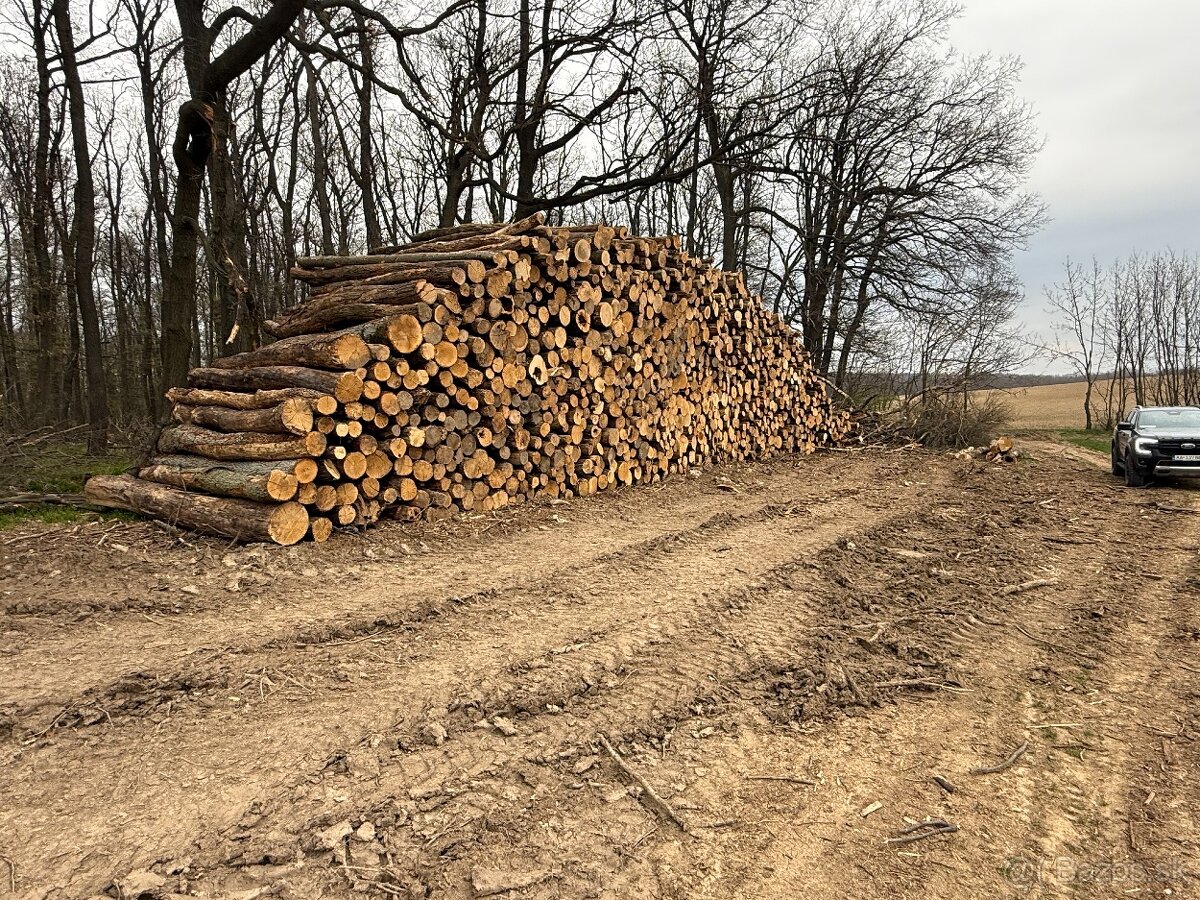 Palivové drevo Doprava ZADARMO do 20km - 8