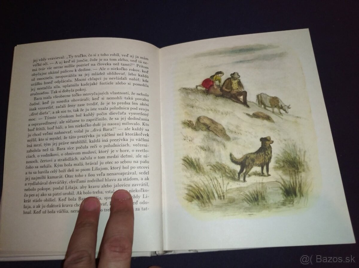 Chyžna pod horami - 8