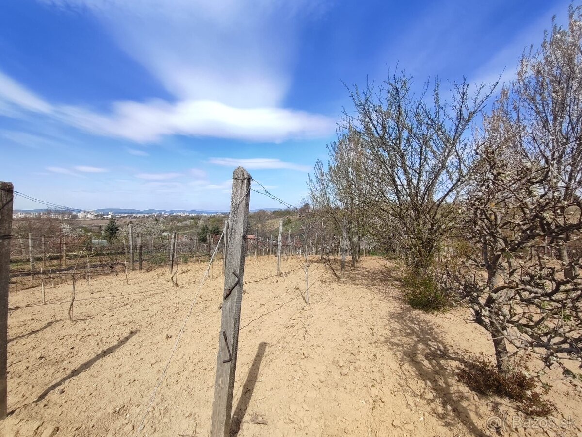 Pozemok na výstavbu domu pri meste Levice - 8