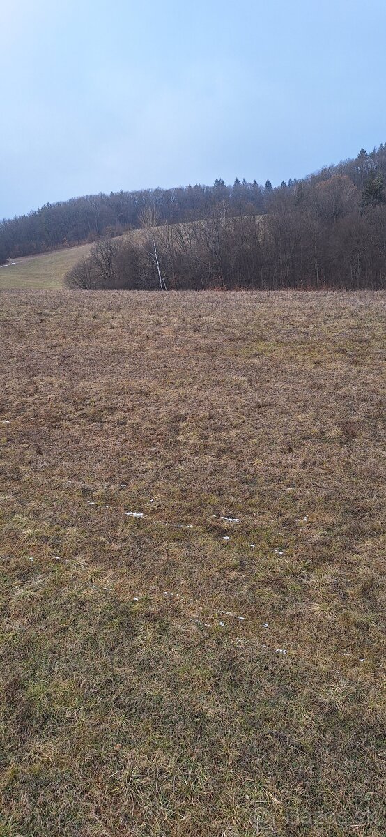 Rekreačný pozemok/orná pôda 3489m2 Holience - 8