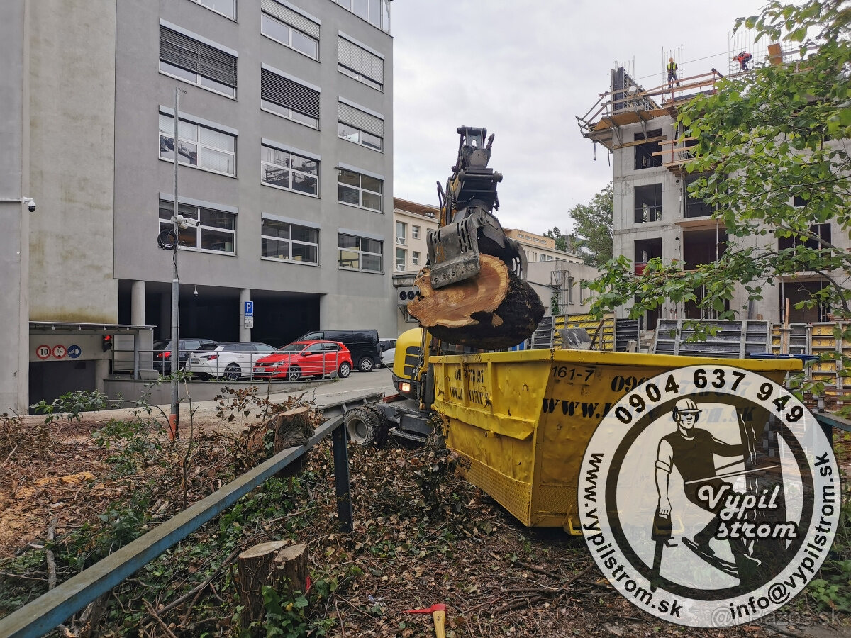 Pilenie a orezavanie stromov, kosenie a udrzba zahrad - 8