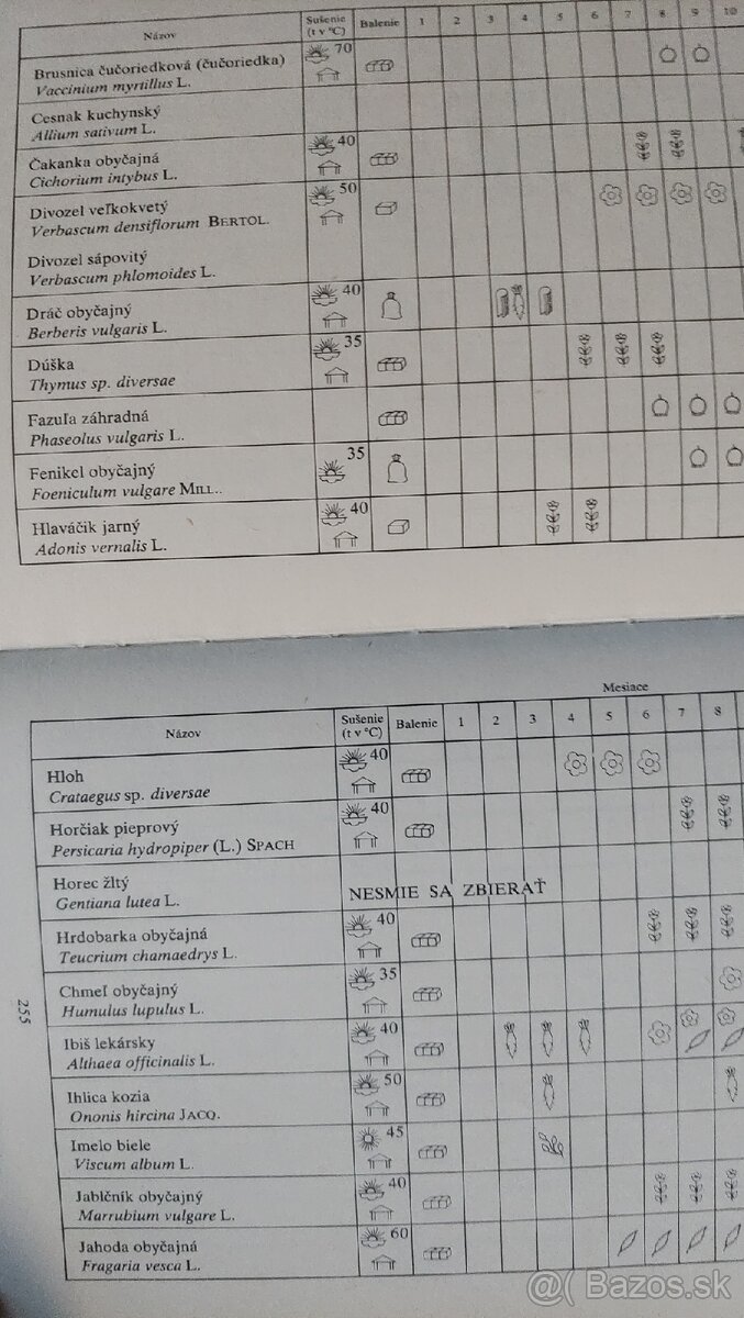 Prírodná lekáreň - 8