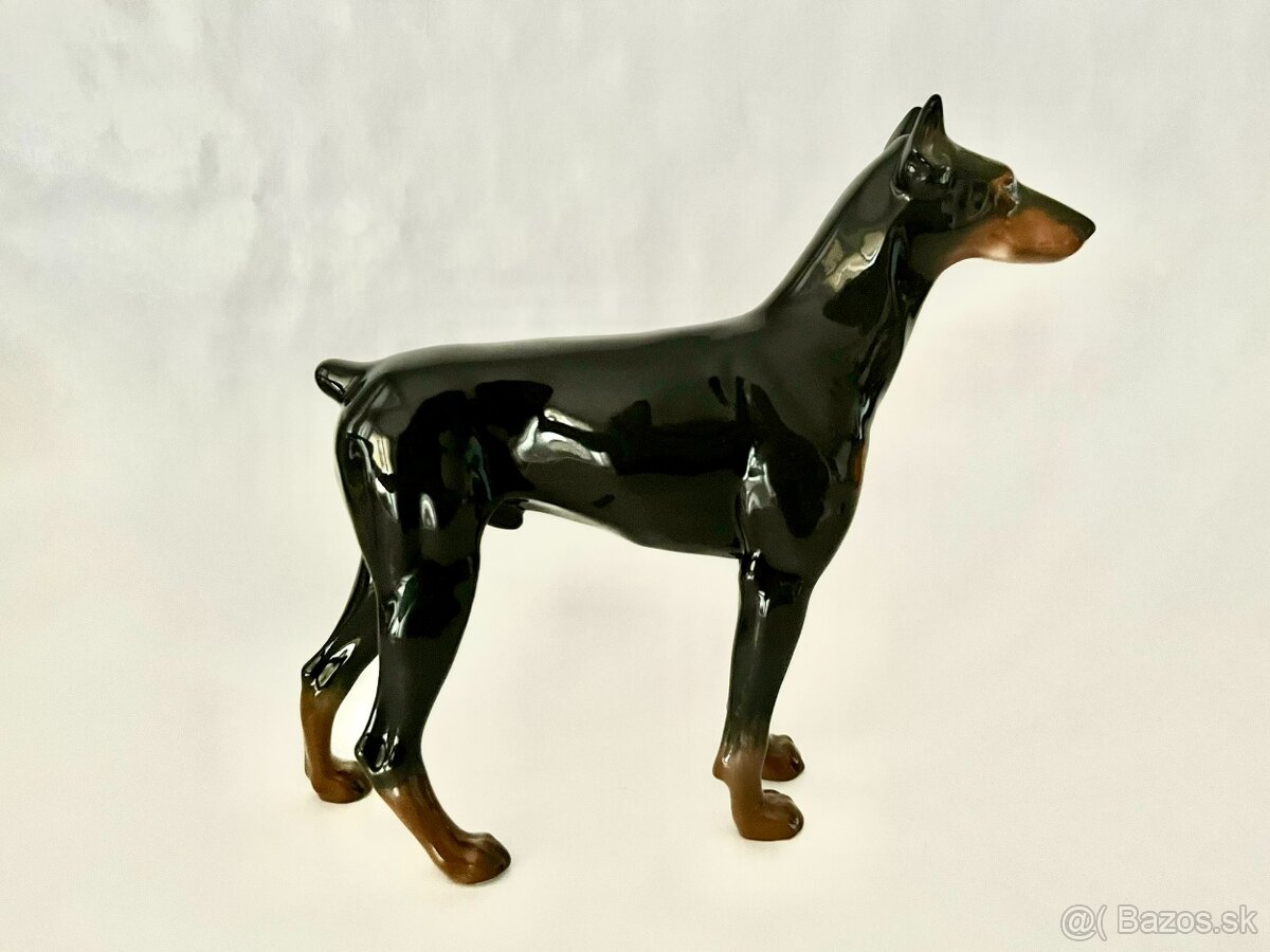 Porcelanovy pes - doberman Rosenthal - 8
