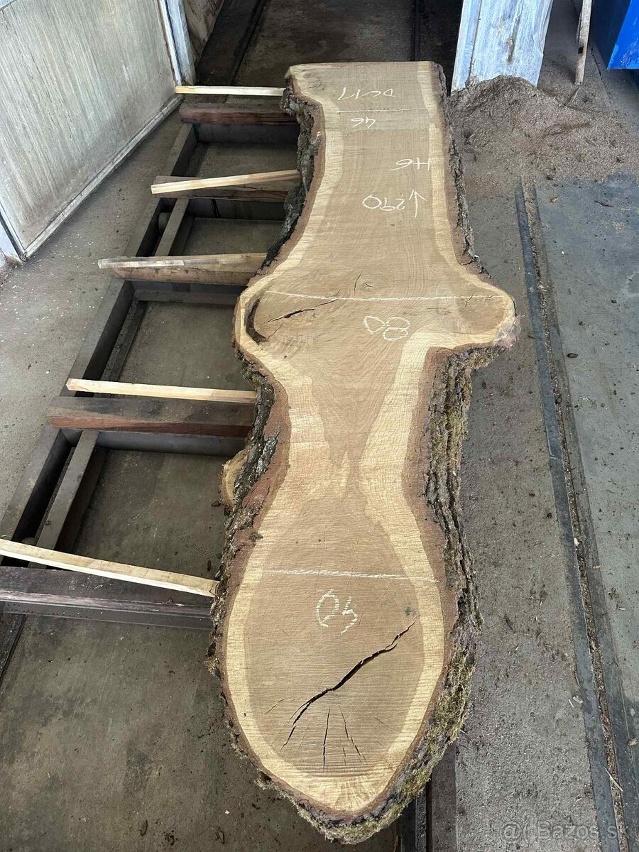 dubové fošne, dub letný, dub - 8