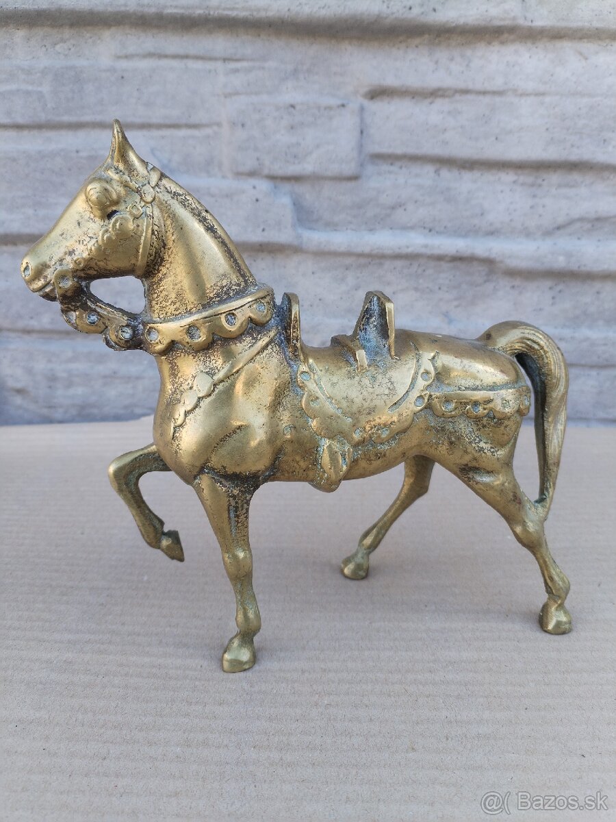 Rytier na koni 120€ - 8