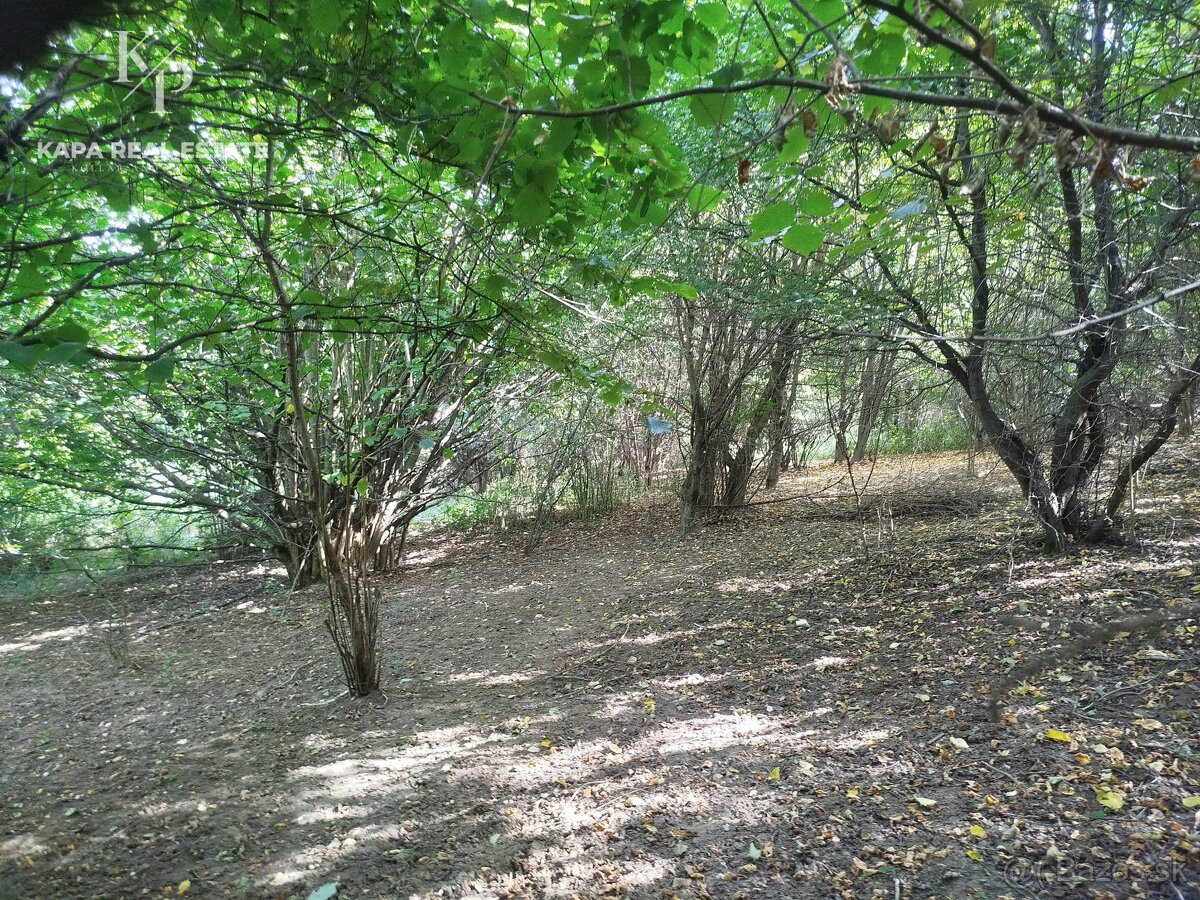 Pozemok na predaj, plocha 4607 m², Veľký Šariš - 8