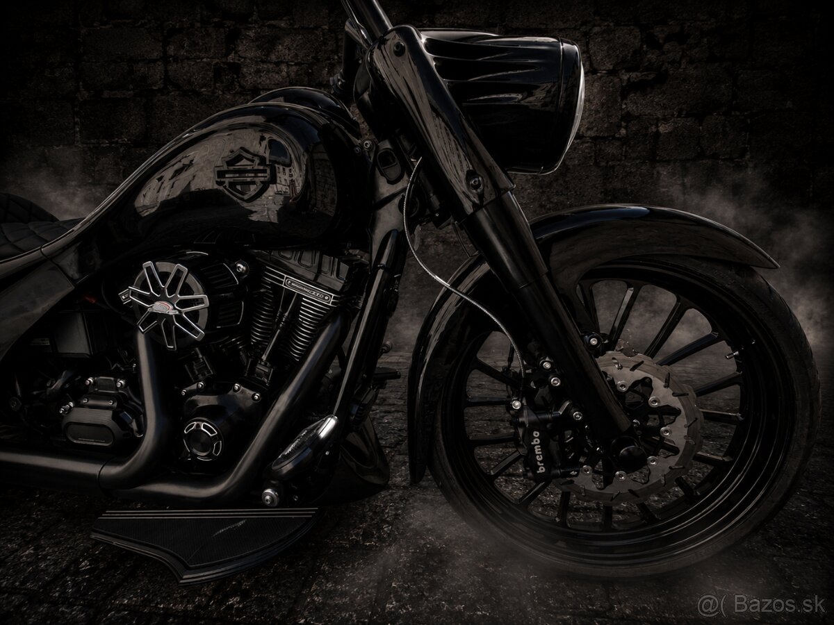HARLEY DAVIDSON TC 113 SE RACING BAGGER - 8