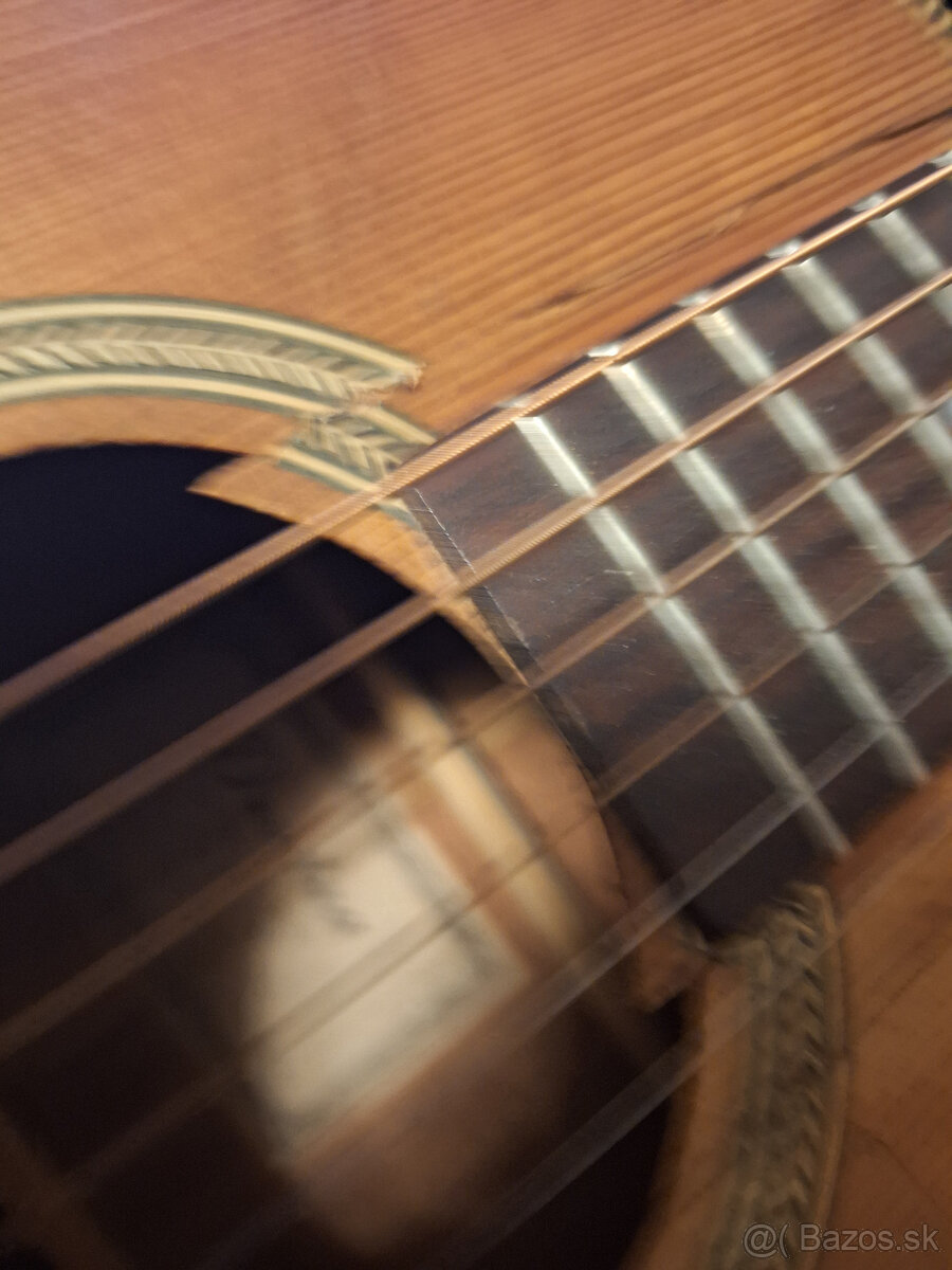 gitara Dowina - 8