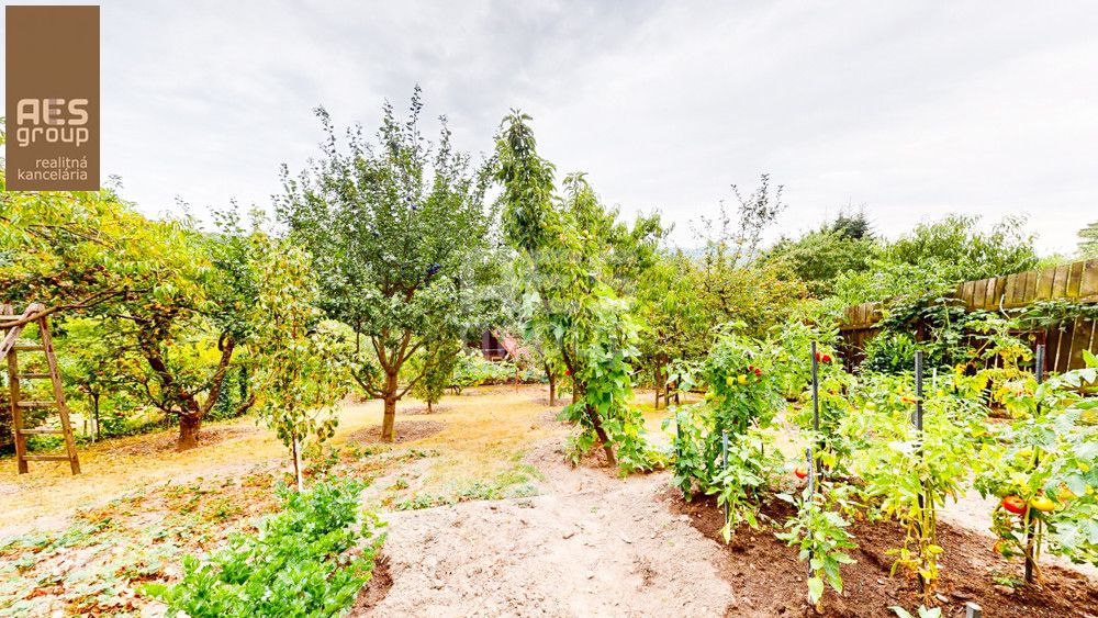 PREDAJ, ZÁHRADA S DVOMA CHATAMI, NOVÁ HORA, STUPAVA - 8