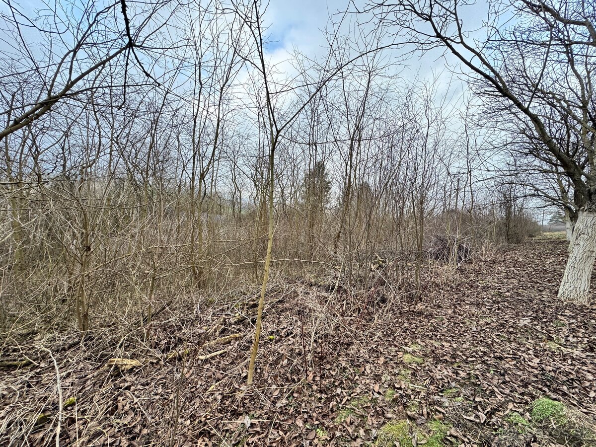 Pozemok (záhrada) na predaj - 8