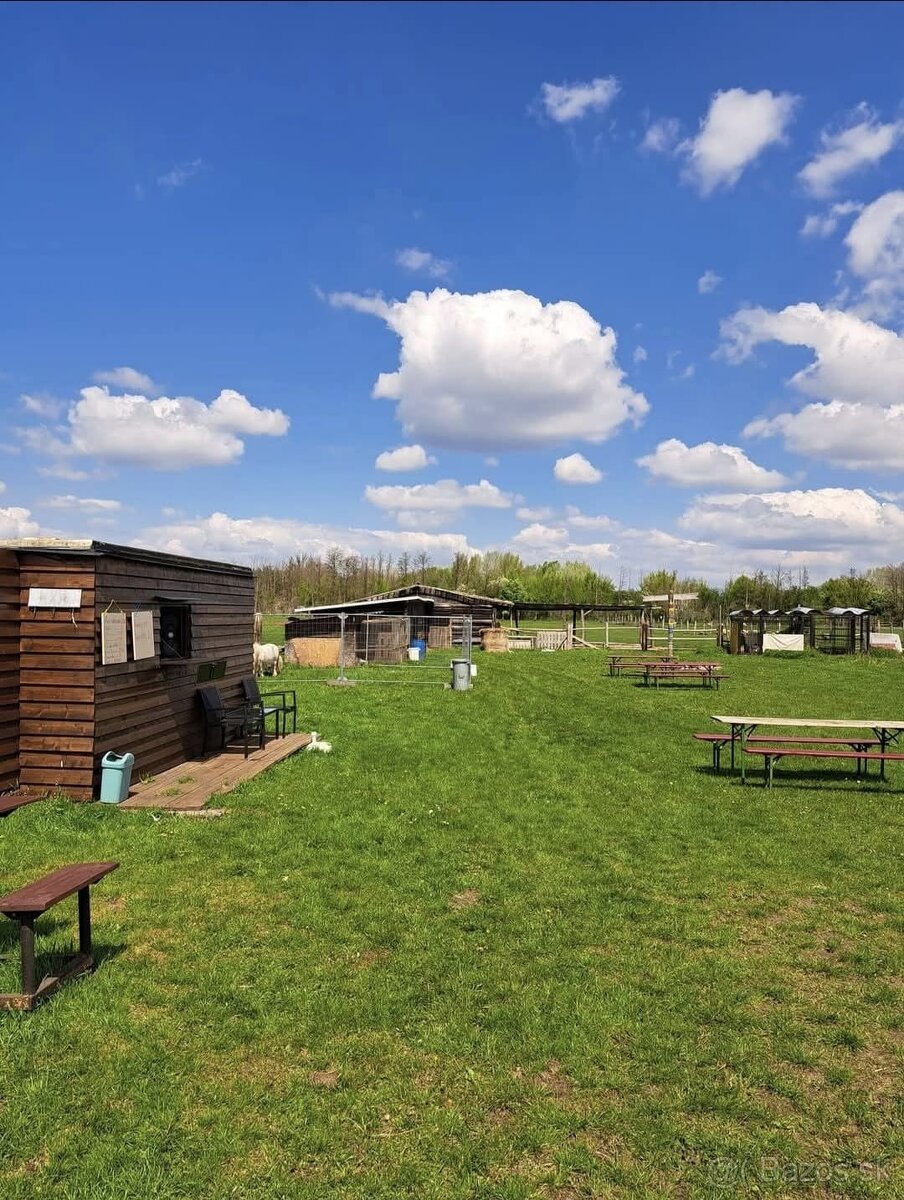 Ponúkame Ustajnenie - 8