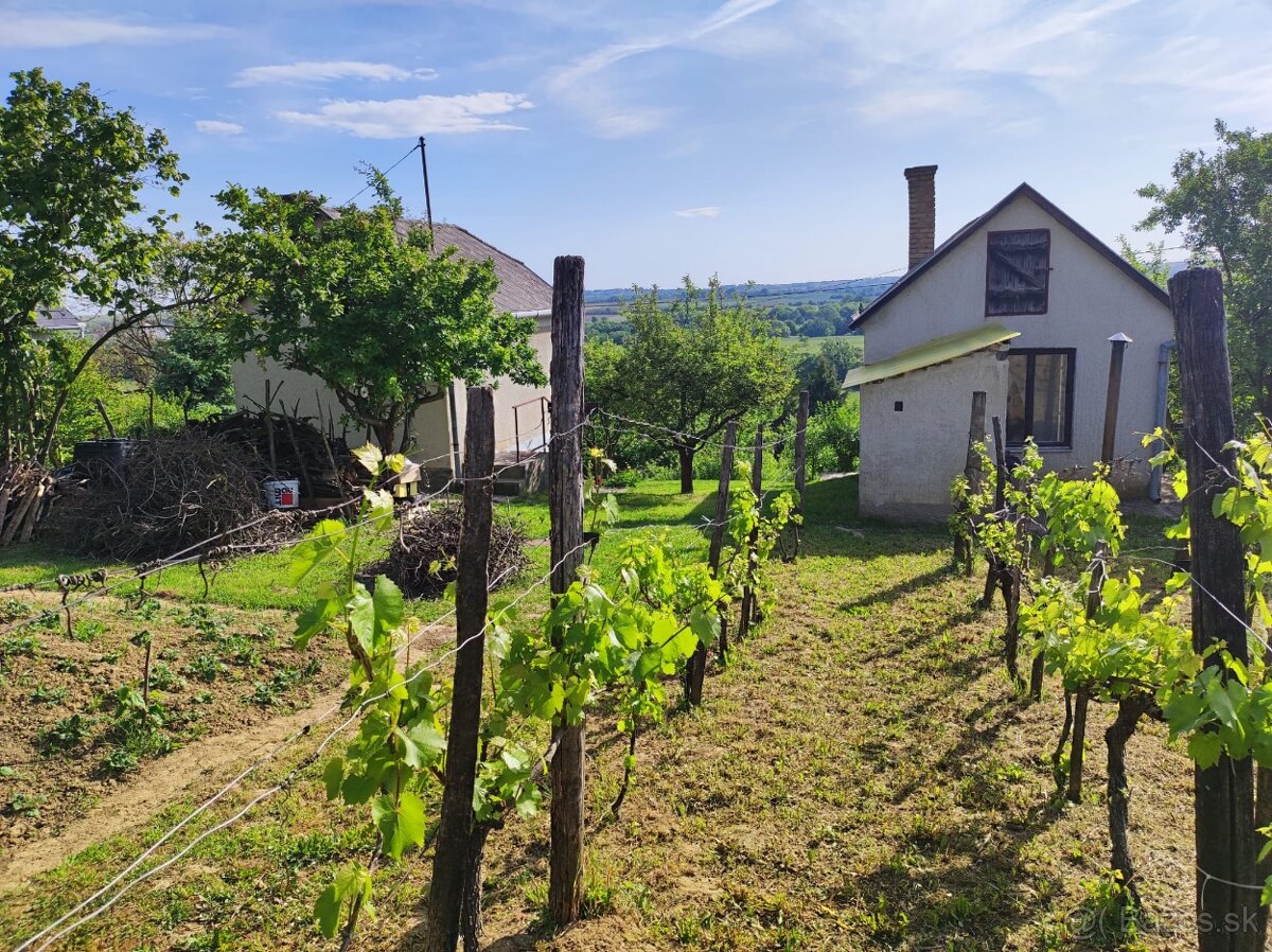 DVA DOMČEKY + 2 PIVNICE na 2 075 m² - 8